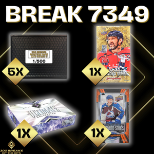 BREAK #7349 (32 SPOTS DISPONIBLES)